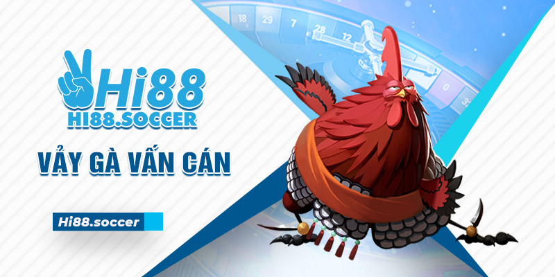 Vảy Gà Vấn Cán - Đặc Điểm Vảy Gà Độc Và Hiếm Nhất 2024 7 vảy gà vấn cán