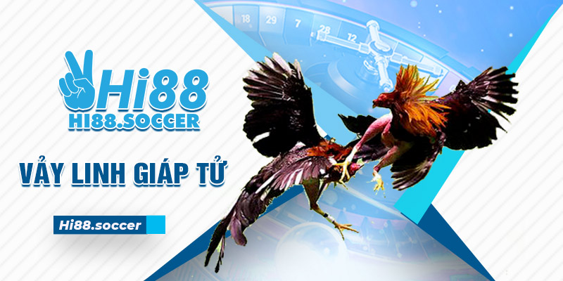 Vảy Linh Giáp Tử - 3 Tiêu Chí Đánh Giá Sức Mạnh Gà Chiến 6 vảy linh giáp tử