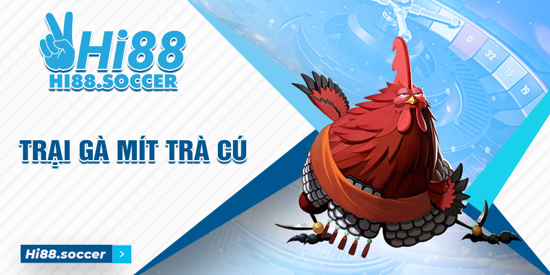 Bật Mí Trại Gà Mít Trà Cú Có Quy Mô Khủng Nhất Tại Miền Tây 3 Trại gà mít trà cú