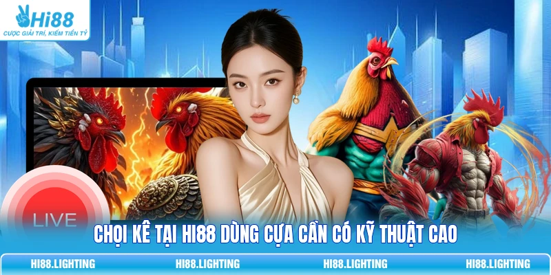 Chọi kê tại Hi88 dùng cựa cần có kỹ thuật cao