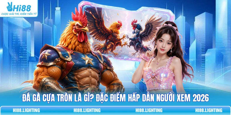 Đá Gà Cựa Tròn Là Gì? Đặc Điểm Hấp Dẫn Người Xem 2026